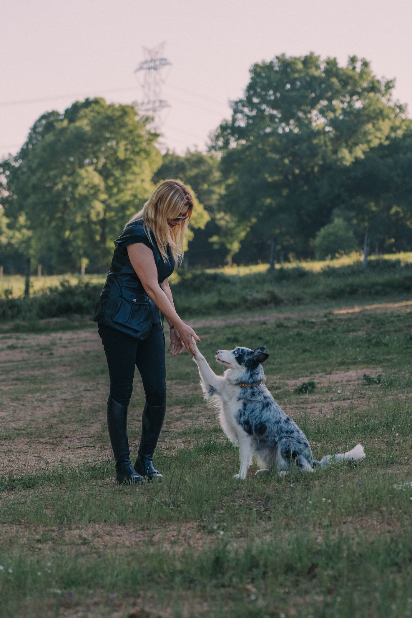 Baasje oefent buiten met haar hond